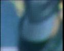 Elijah Prophet performing on Reggaejam 2005 - Pt. 1